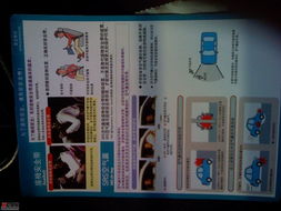 守護安全，從細節開始 4S店豐田印刷品中的安全帶與氣囊安全指南